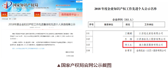 喜訊丨揚(yáng)力集團(tuán)總工程師仲太生榮獲“2018年度企業(yè)知識產(chǎn)權(quán)工作先進(jìn)個人”榮譽(yù)稱號！